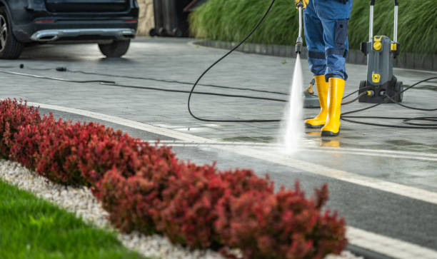 Best Residential Exterior Washing  in Federalsburg, MD
